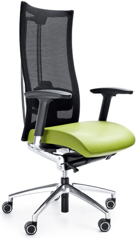 Kancelářská židle ACTION 105SFL