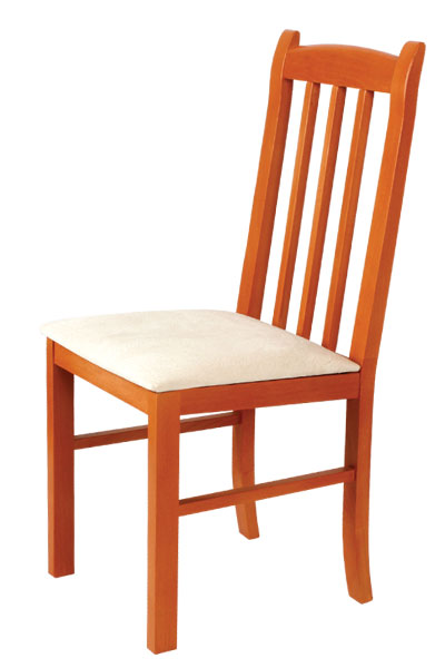jídelní židle Darina od Bradop