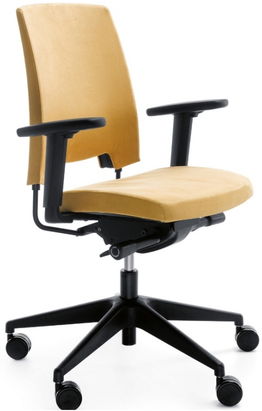 Kancelářská židle ARCA 21SL