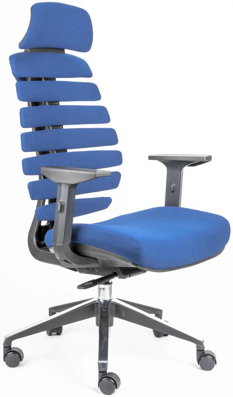 kancelářská židle FISH BONES PDH černý plast, modrá 26-67