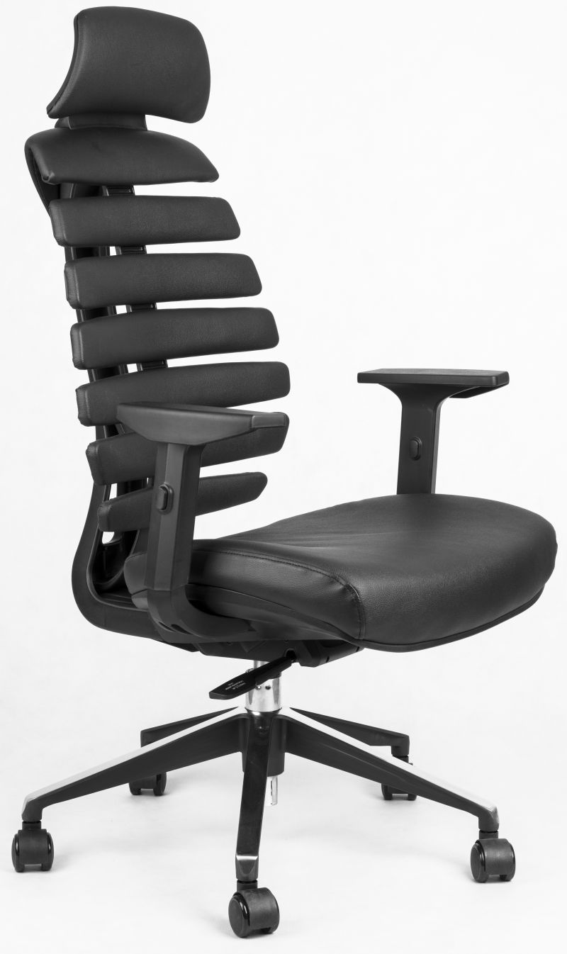 kancelářská židle FISH BONES PDH černý plast, černá kůže