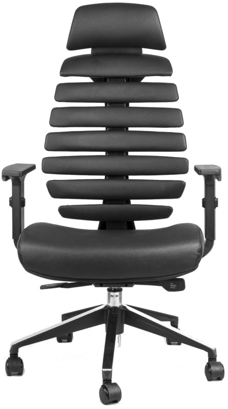 kancelářská židle FISH BONES PDH černý plast, černá kůže gallery main image
