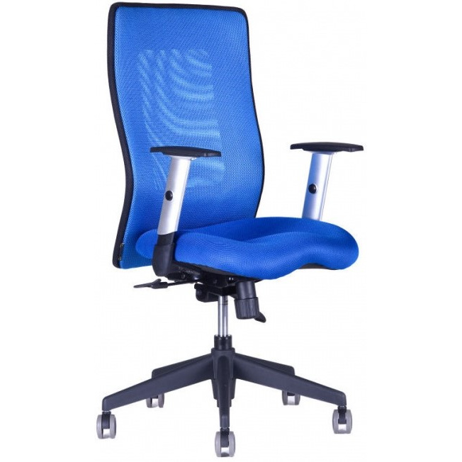 kancelářská židle CALYPSO celobarevná