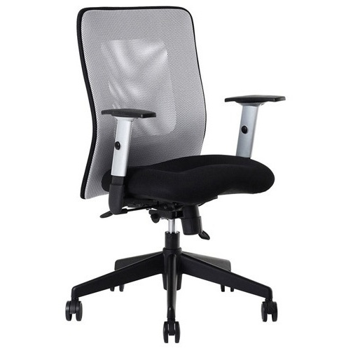 kancelářská židle LEXA bez podhlavníku, šedá