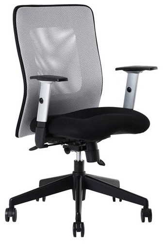 kancelářská židle LEXA bez podhlavníku, šedá gallery main image