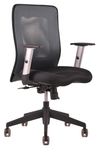 židle LEXA bez podhlavníku,antracit, č. AOJ029 gallery main image