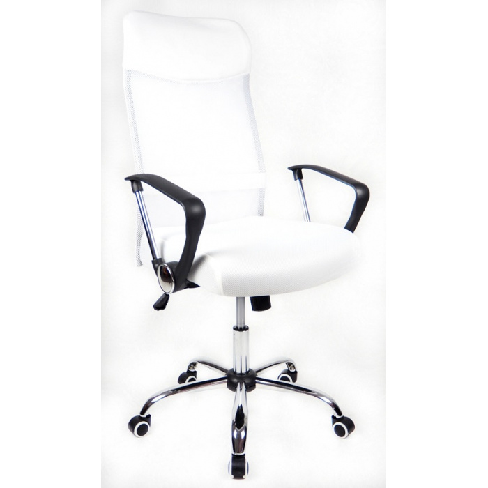 kancelářská židle PREZIDENT bílý, č. AOJ095