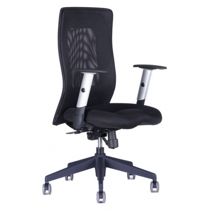 kancelářská židle CALYPSO GRAND, č. AOJ382S