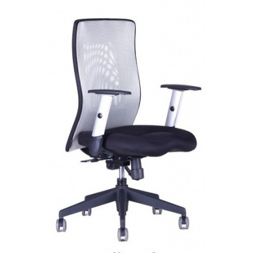 kancelářská židle CALYPSO XL světle šedá, č. AOJ423S