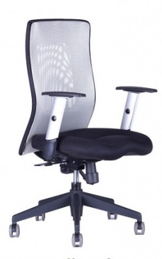 kancelářská židle CALYPSO XL světle šedá, č. AOJ423S gallery main image
