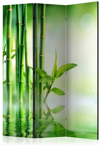 Paraván zelený bambus 3 dílný