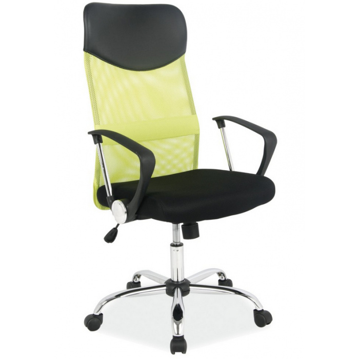 Kancelářská židle Q025 černo-zelená Prezident II