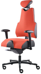 AKČNÝ SET Prémiová zdravotná stolička Body+ s ergonomickým autodoplnkom DRIVE