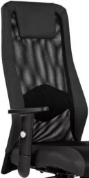 Opěrák pro židli SANDER černý