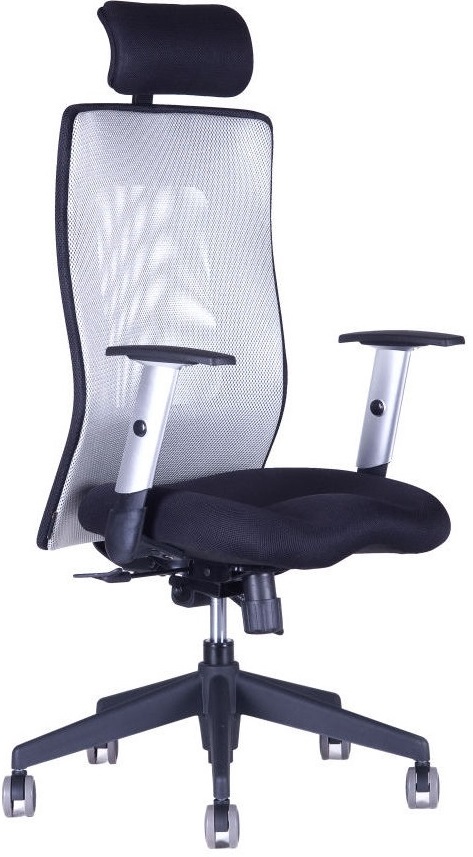 Kancelářská židle CALYPSO GRAND SP1 šedá