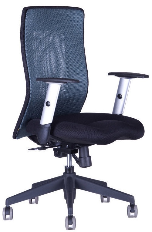 Levně OFFICE PRO kancelářská židle CALYPSO XL antracit