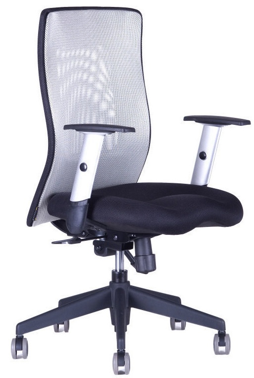 Levně OFFICE PRO kancelářská židle CALYPSO XL šedá