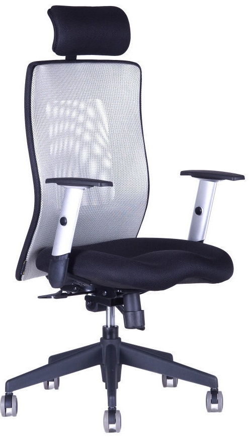 kancelářská židle CALYPSO XL SP1 šedá gallery main image