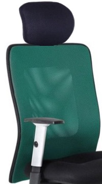 opěrák pro židli LEXA pevný PDH zelená gallery main image