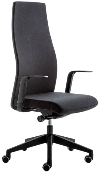 Levně EMAGRA Kancelářská židle ECHO, černá