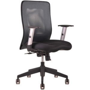 kancelárska stolička LEXA bez podhlavníka, farba antracit, vzorkový kus Ostrava