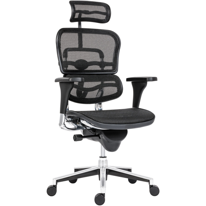 kancelářská židle Ergohuman NET